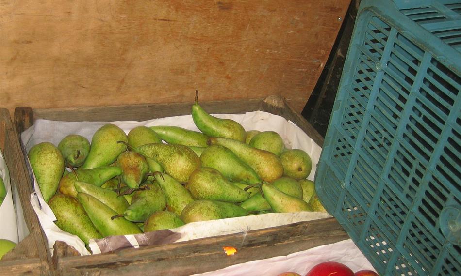 2016-5-6-642hrušky jablka.jpg